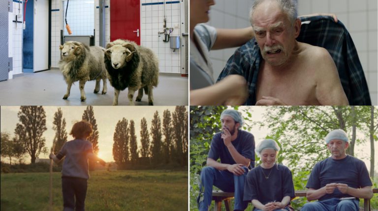 Shariff Nasr, Stills verschillend werk